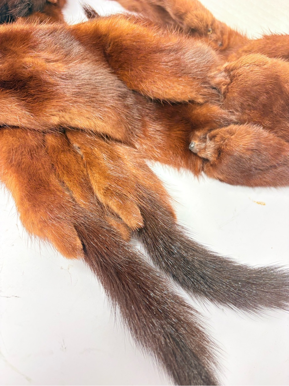 Vintage Fur Scarf - Picture 7 of 10